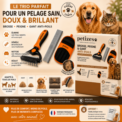 Petizes lot brosse