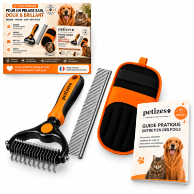 Lot brosse petizes